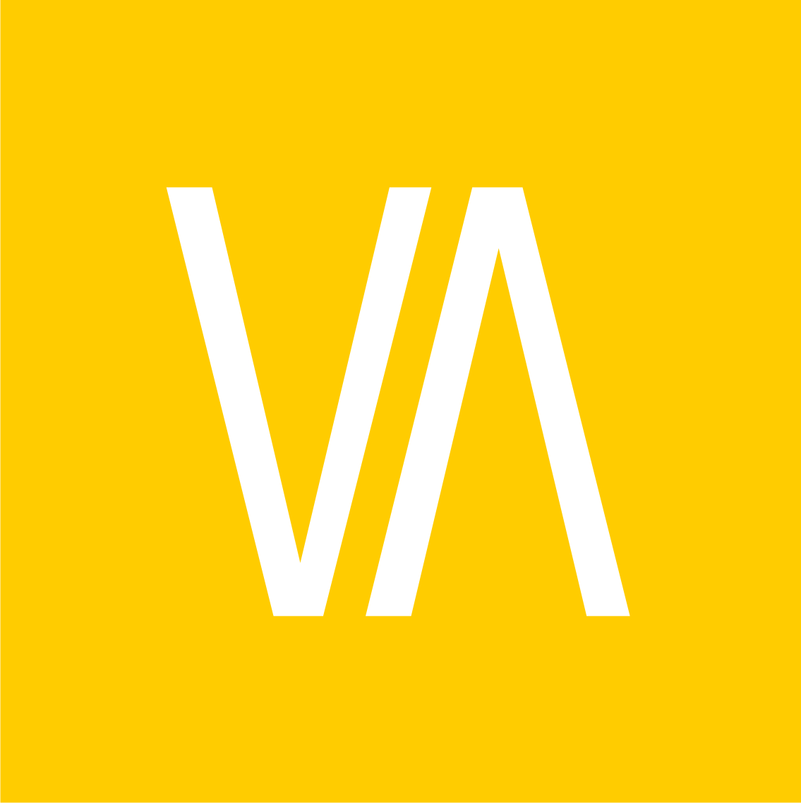 Visbin Management Associates Logo